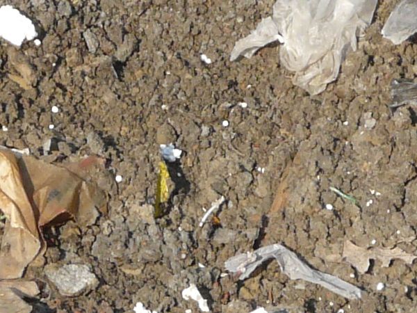 garbage on the ground texture